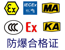 国产AV麻豆美艳房东MAD026合格证办理指南