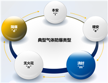 爆炸性气体场所使用国产AV麻豆美艳房东MAD026设备的IP防护等级要求