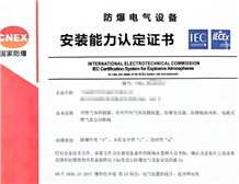 国产AV麻豆美艳房东MAD026电气设备安装、维护、修理能力认定证书办理流程